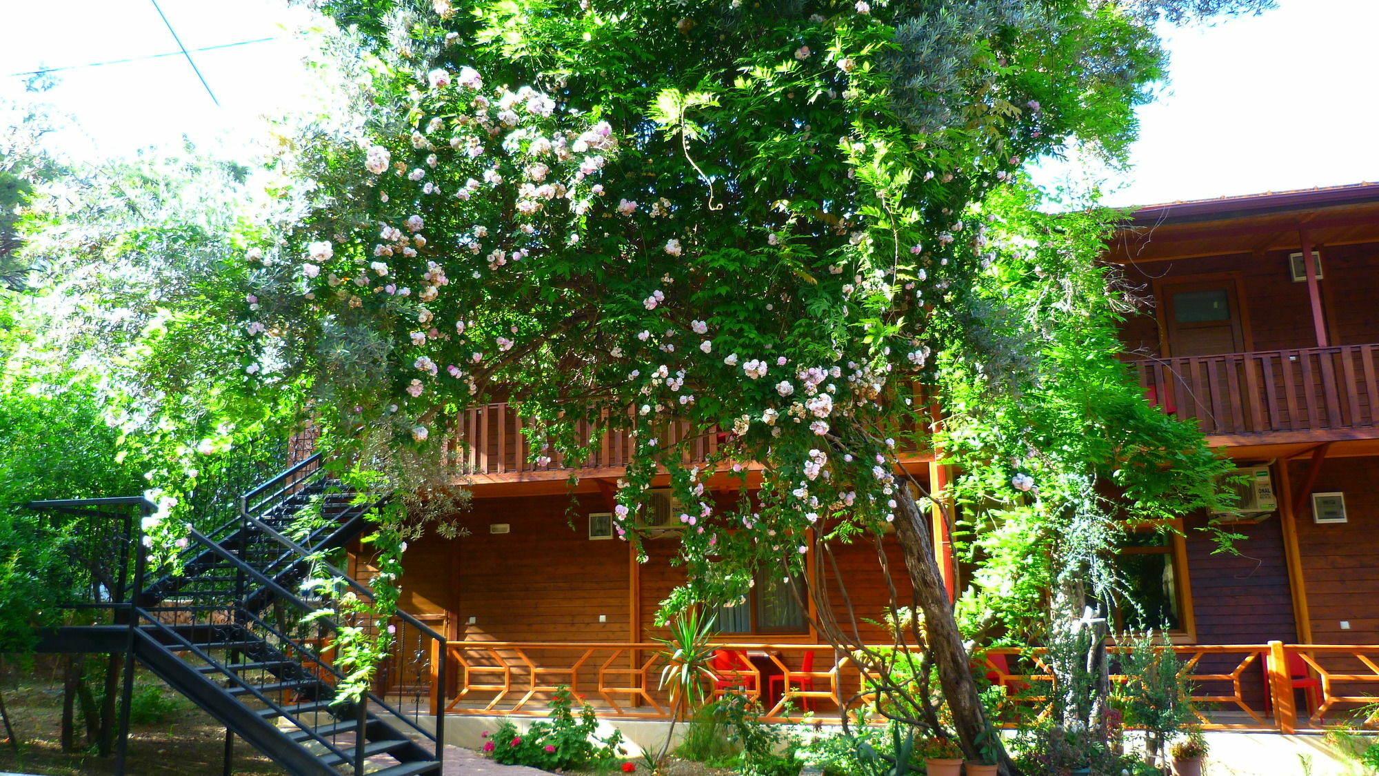 Cirali Simge Holiday Houses Екстериор снимка