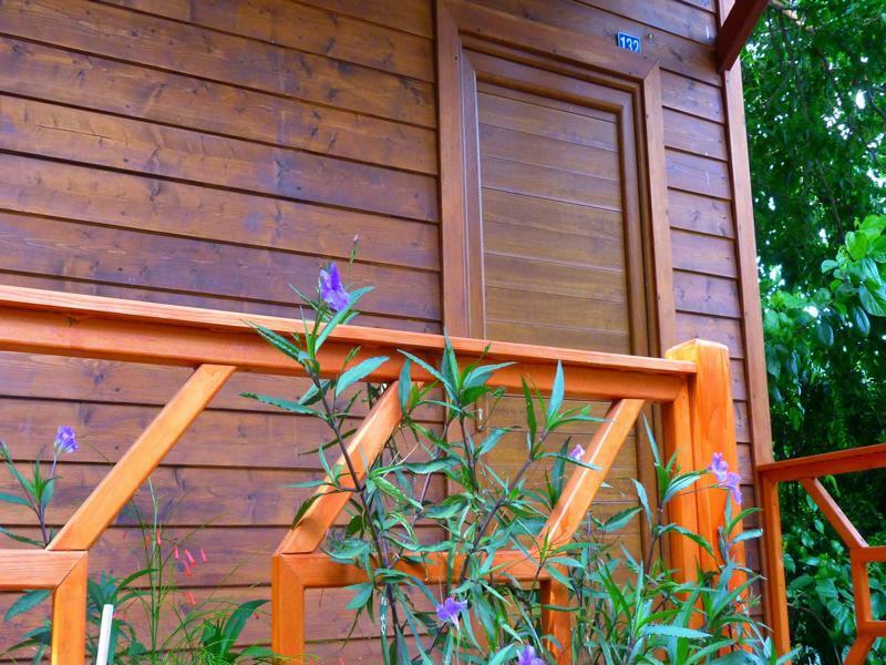 Cirali Simge Holiday Houses Екстериор снимка