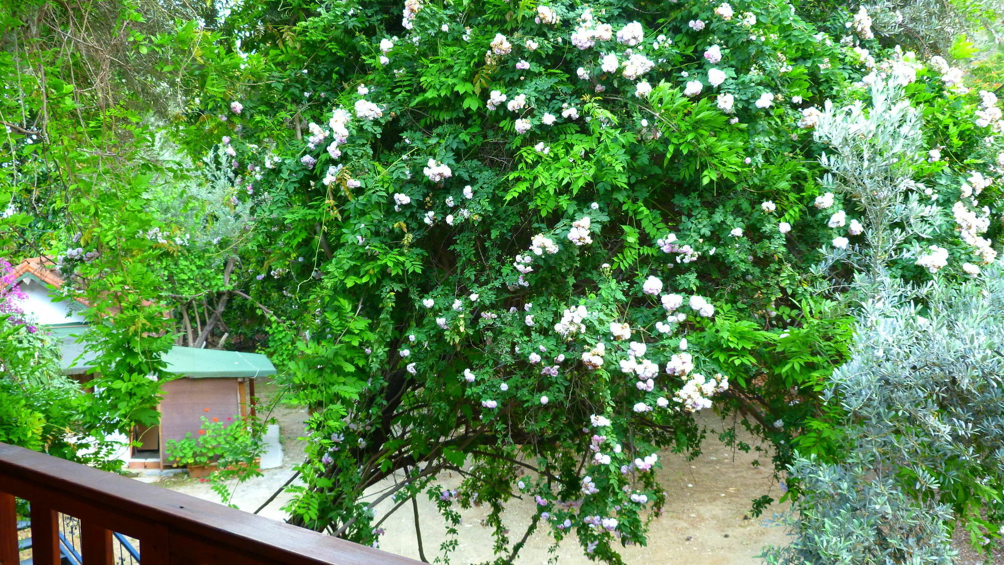 Cirali Simge Holiday Houses Екстериор снимка